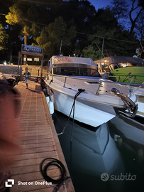 Fiart Thunder 28