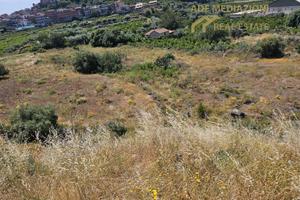Due Ettari Di Terreno in Zona Semiperiferica
