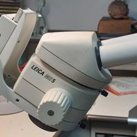 Microscopio Leica Ms 5 con Stativo