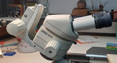 Microscopio Leica Ms 5 con Stativo
