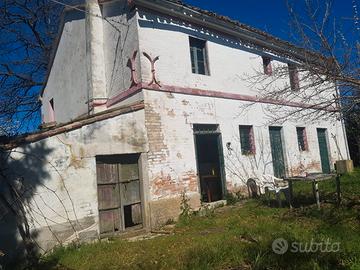 Monte san vito casa colonica + terreno