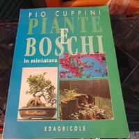 Piante e boschi in miniatura 