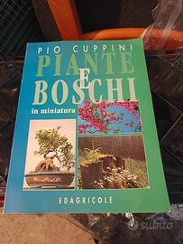 Piante e boschi in miniatura 