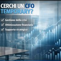 Responsabile finanziario a progetto