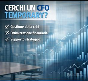 Responsabile finanziario a progetto