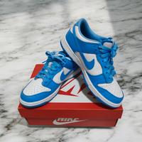 Nike Dunk Low Azzurro