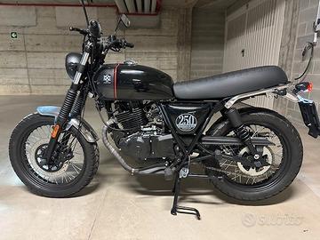 Brixton Cromwell 250 - 2024