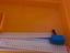 Immagine 5
