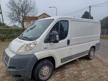 furgone fiat  ducato tetto basso passo corto 