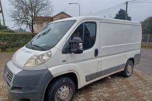 furgone fiat  ducato tetto basso passo corto 