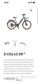 e bike BRN pari al nuova