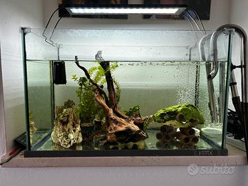 Acquario Tetra 60