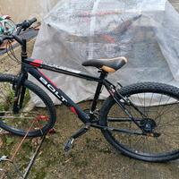 bici per ragazzo/uomo