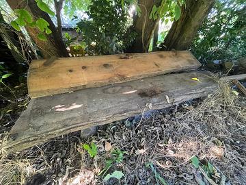 Tavole di legno di tuja