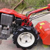 Motocolticatore goldoni cv 10 diesel