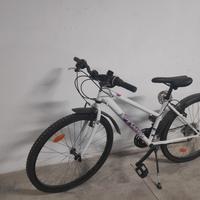 Bicicletta 24 pollici