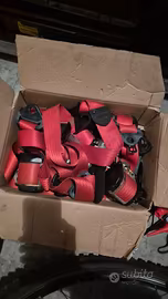 cinture uno turbo