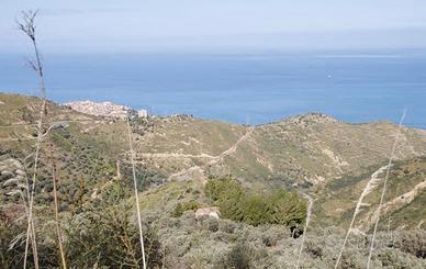 RGE 59/2014 Trib Patti