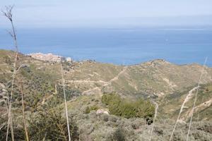 RGE 59/2014 Trib Patti