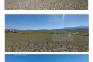 Terreno Agricolo Castiglione d'Orcia [A4354293]