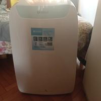 Climatizzatore Portatile 