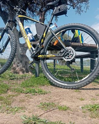 Mountain Bike Whistle Patwin 29" 2164 telaio M