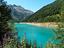Immagine 10