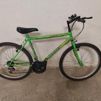 Mountain bike 