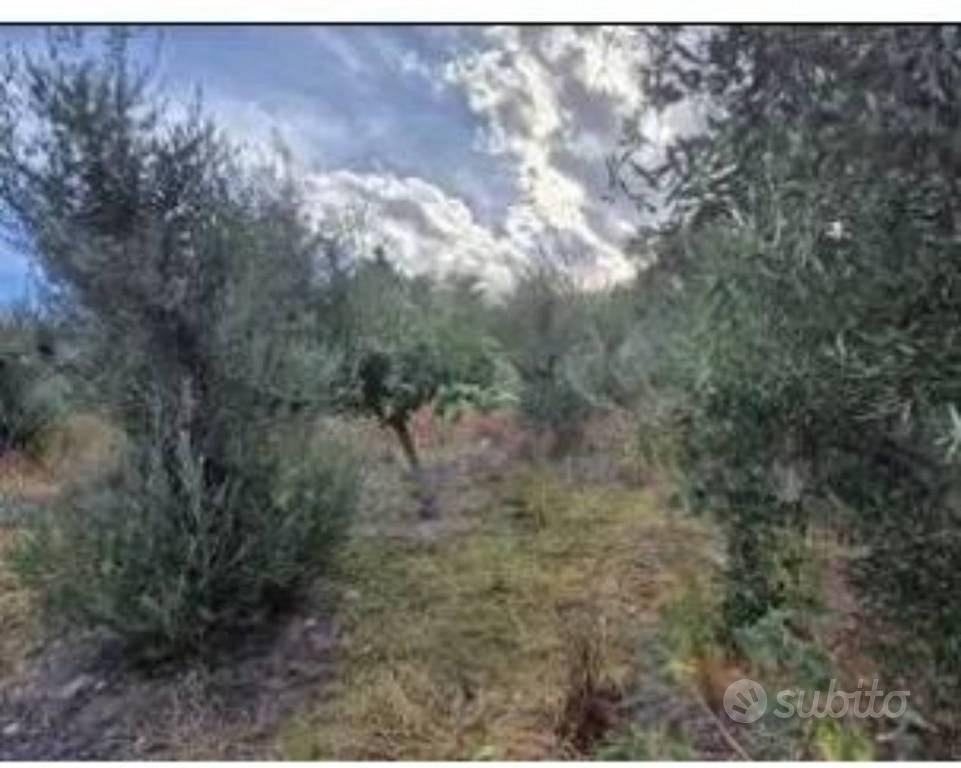 Immobile in asta di 470 m² a Bovalino - Altro