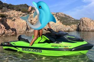 Moto d'acqua seadoo rxt 300 rs , permutabile