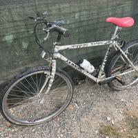 Bicicletta Mountain Bike