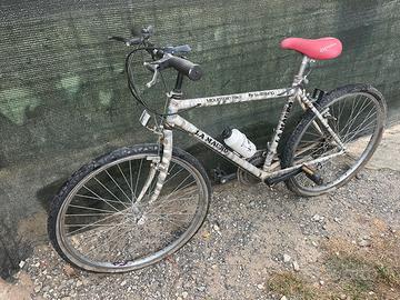 Bicicletta Mountain Bike