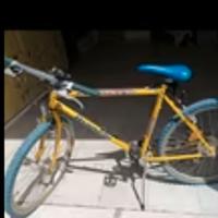 Mountain bike Bianchi