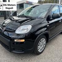 Fiat Panda 1.0 70cv Hybrid Pandino ADAS Km 0