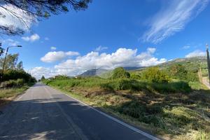 TER. AGRICOLO A CAPACCIO