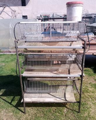 Gabbia per Conigli