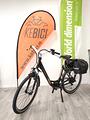 E-City Bike - bicicletta pedalata assistita
