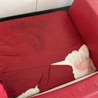 due divani rossi in pelle