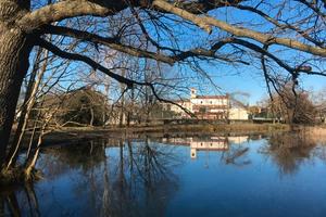 Suggestivo laghetto nel verde