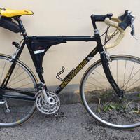 bicicletta da corsa