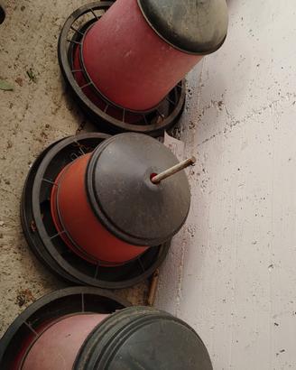 tramogge cibo pollame