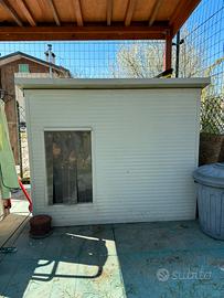 Cuccia coibentata cane