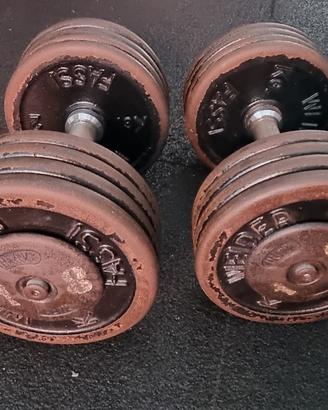 manubri palestra 18 e 20kg 
