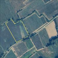 Terreno agricolo seminativo 9600 mq