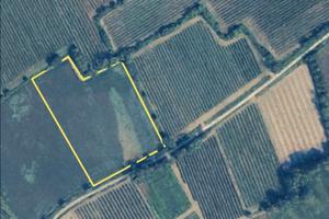 Terreno agricolo seminativo 9600 mq