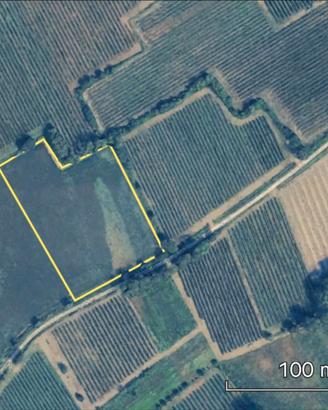 Terreno agricolo seminativo 9600 mq