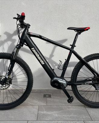 Bici pedalata assistita