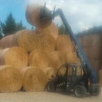 sollevatore telescopico 