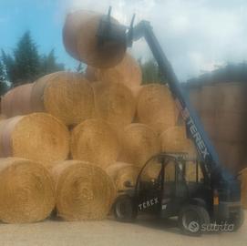 sollevatore telescopico 