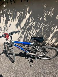 bicicletta 